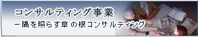 RTeBO